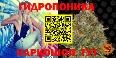 mdpv Чапаевск