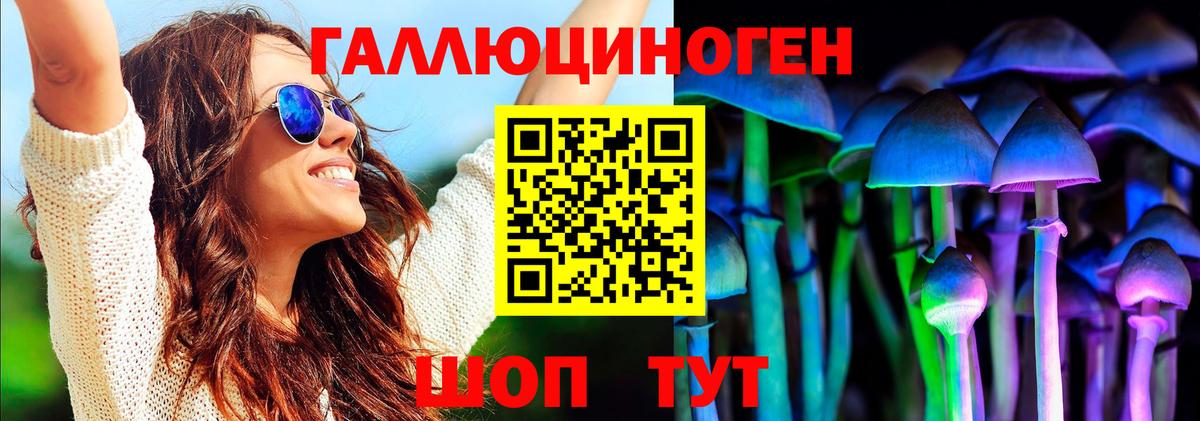 Ртищево  где купить наркотик  Вход с VPN  Псилоцибиновые грибы Cubensis 