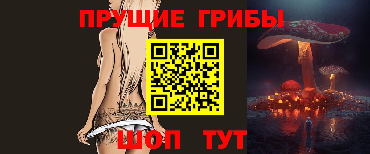 Псилоцибиновые грибы Psilocybine cubensis Ртищево